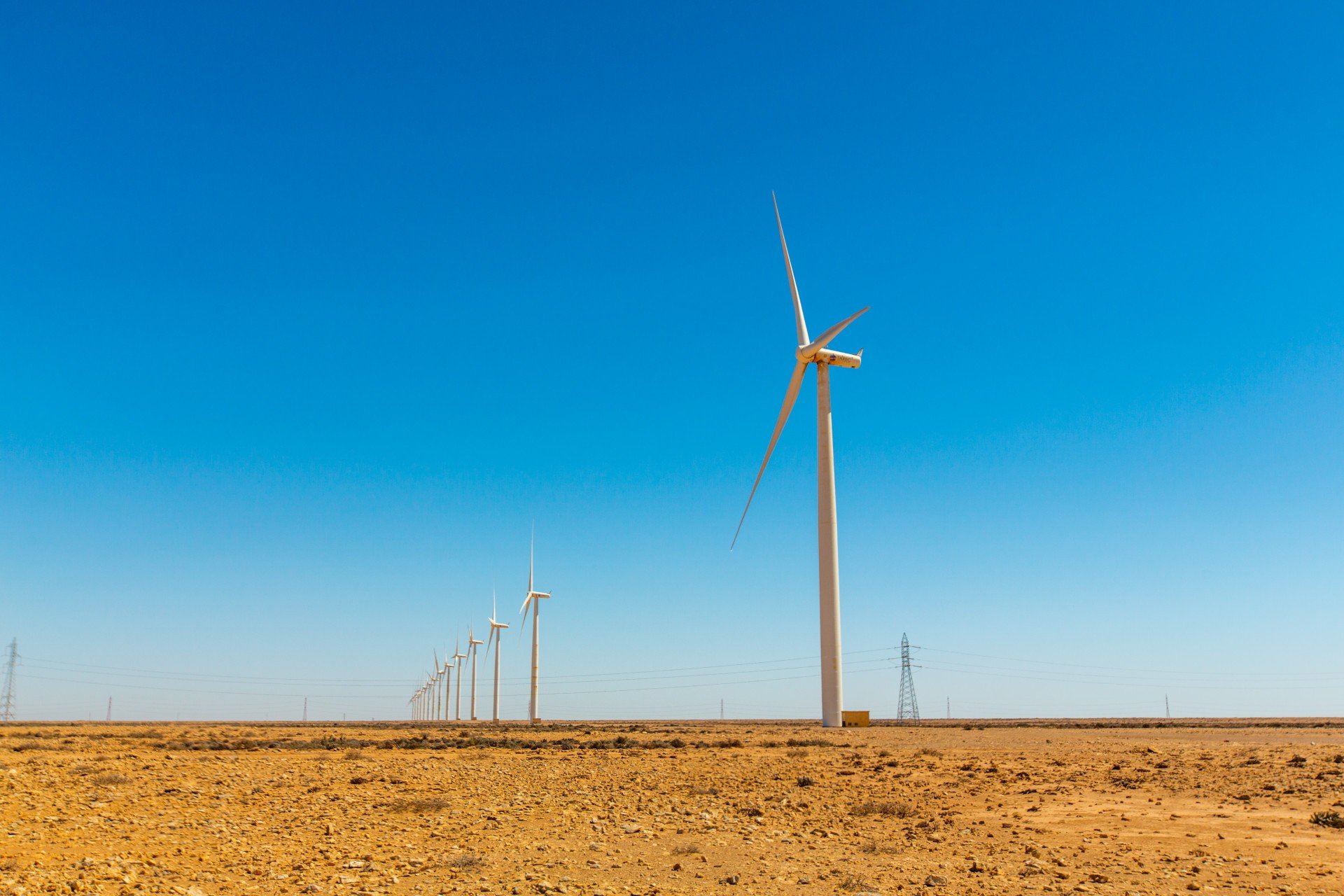 A line of wind turbines extend into the distance