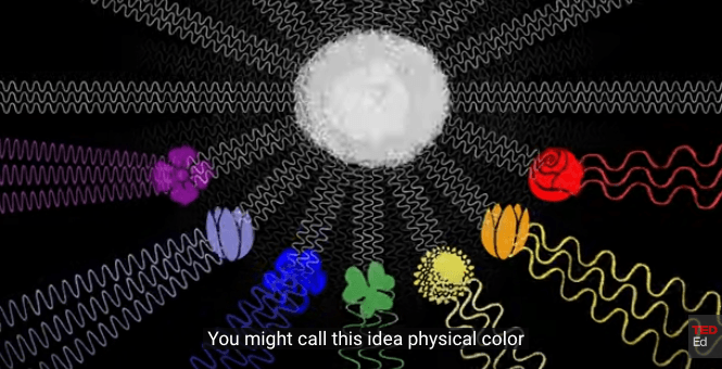 How we see color