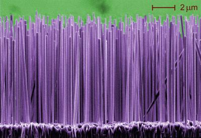 Growing Glowing Nanowires