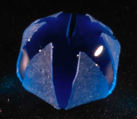 blue micro-origami flower