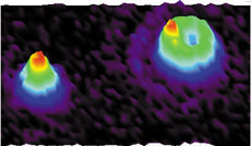 Orientations made easy. Based on their fluorescence patterns, researchers can distinguish single molecules that are primarily xy-aligned (left) from those primarily z-aligned (right).Robert M. Dickson/Georgia Institute of Technology