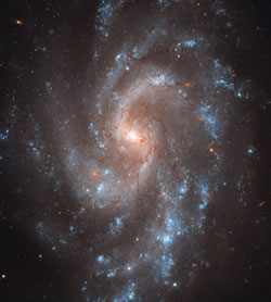 Hubble's View of NGC 5584