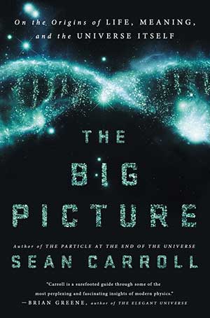 The Big Picture book cover