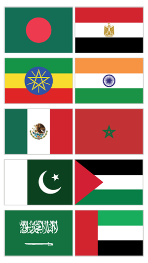 multiple flags