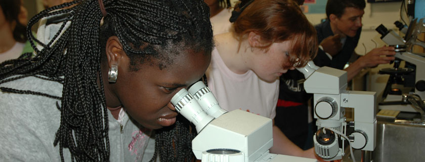 science girls slide